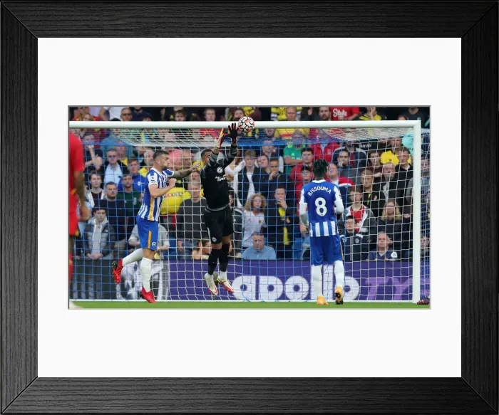 Framed Print : 2021-22 Premier League: Brighton & Hove Albion vs. Watford - Intense Match Action at American Express Community Stadium Framed Print : 2021-22 Premier League: Brighton & Hove Albion vs. Watford - Intense Match Action at American Express Community Stadium