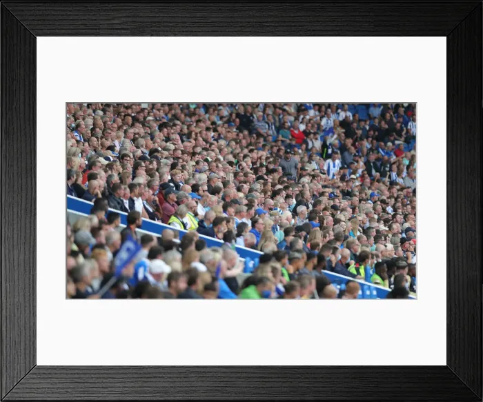 Framed Print : Brighton vs. Watford: 2021-22 Premier League Battle at American Express Community Stadium Framed Print : Brighton vs. Watford: 2021-22 Premier League Battle at American Express Community Stadium