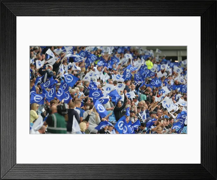 Framed Print : Brighton & Hove Albion vs. Watford: 2021-22 Premier League Battle at American Express Community Stadium Framed Print : Brighton & Hove Albion vs. Watford: 2021-22 Premier League Battle at American Express Community Stadium
