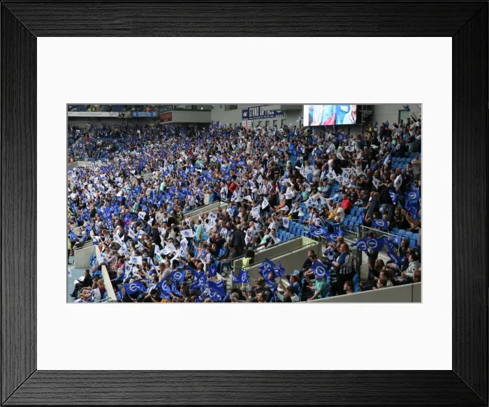 Framed Print : Brighton and Hove Albion vs. Watford: 2021 / 22 Premier League Showdown at American Express Community Stadium Framed Print : Brighton and Hove Albion vs. Watford: 2021 / 22 Premier League Showdown at American Express Community Stadium