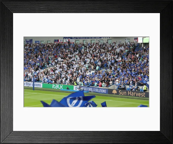Framed Print : Brighton and Hove Albion vs. Watford: 2021-22 Premier League Battle at American Express Community Stadium Framed Print : Brighton and Hove Albion vs. Watford: 2021-22 Premier League Battle at American Express Community Stadium