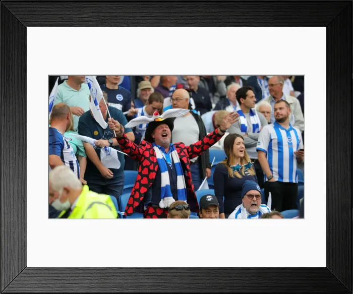 Framed Print : Brighton and Hove Albion vs. Watford: 2021-22 Premier League Battle at American Express Community Stadium Framed Print : Brighton and Hove Albion vs. Watford: 2021-22 Premier League Battle at American Express Community Stadium