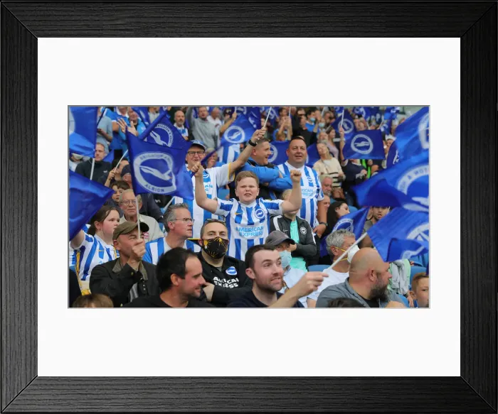 Framed Print : Brighton & Hove Albion vs. Watford: 2021-22 Premier League Battle at American Express Community Stadium Framed Print : Brighton & Hove Albion vs. Watford: 2021-22 Premier League Battle at American Express Community Stadium