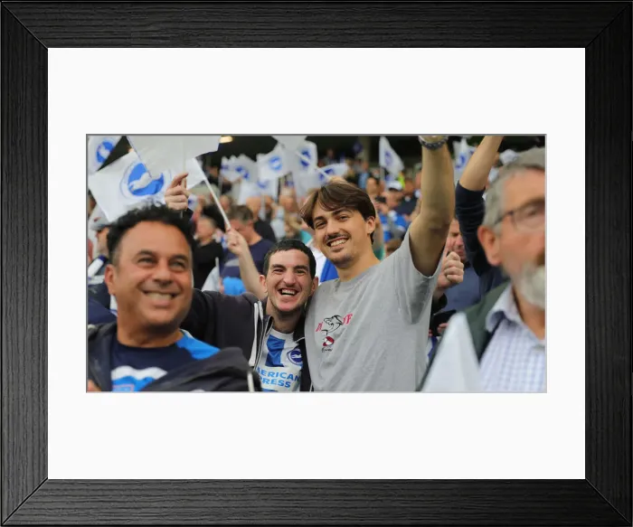 Framed Print : Brighton vs. Watford: 2021-22 Premier League Clash at American Express Community Stadium Framed Print : Brighton vs. Watford: 2021-22 Premier League Clash at American Express Community Stadium