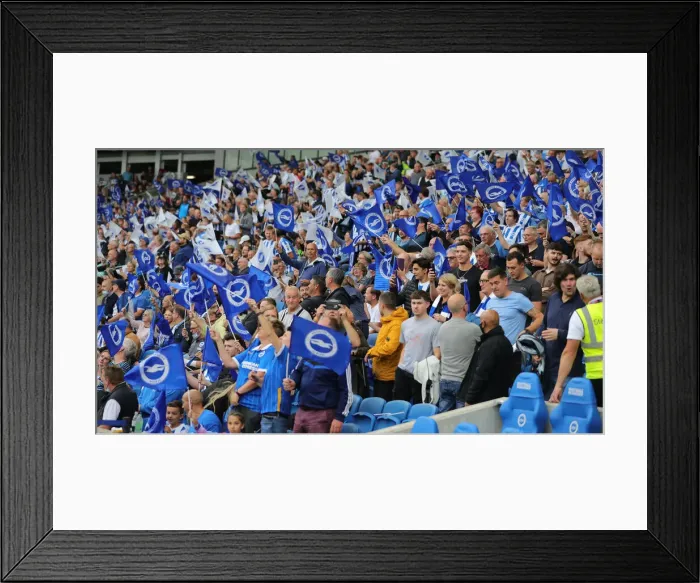 Framed Print : Brighton and Hove Albion vs. Watford: 2021-22 Premier League Battle at American Express Community Stadium Framed Print : Brighton and Hove Albion vs. Watford: 2021-22 Premier League Battle at American Express Community Stadium