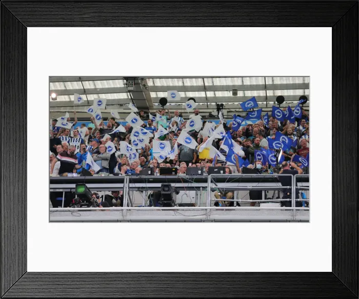 Framed Print : Brighton and Hove Albion vs. Watford: 2021-22 Premier League Battle at American Express Community Stadium Framed Print : Brighton and Hove Albion vs. Watford: 2021-22 Premier League Battle at American Express Community Stadium