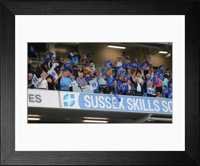 Framed Print : Brighton and Hove Albion vs. Watford: 2021-22 Premier League Showdown at American Express Community Stadium