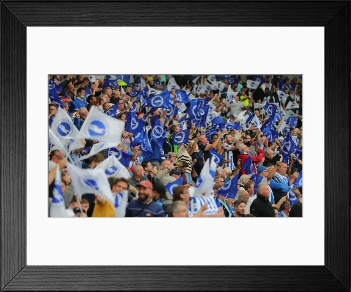 Framed Print : Brighton & Hove Albion vs. Watford: 2021-22 Premier League Battle at American Express Community Stadium