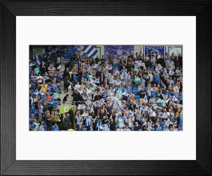 Framed Print : Brighton & Hove Albion vs. Watford: 2021-22 Premier League Battle at American Express Community Stadium Framed Print : Brighton & Hove Albion vs. Watford: 2021-22 Premier League Battle at American Express Community Stadium