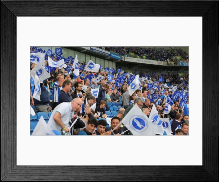 Framed Print : Brighton vs. Watford: 2021-22 Premier League Showdown at American Express Community Stadium Framed Print : Brighton vs. Watford: 2021-22 Premier League Showdown at American Express Community Stadium