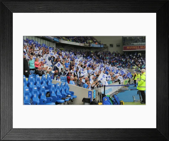 Framed Print : Brighton & Hove Albion vs. Watford: 2021-22 Premier League Battle at American Express Community Stadium Framed Print : Brighton & Hove Albion vs. Watford: 2021-22 Premier League Battle at American Express Community Stadium