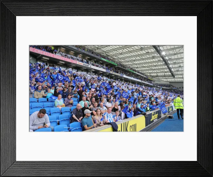 Framed Print : Brighton & Hove Albion vs. Watford: 2021-22 Premier League Battle at American Express Community Stadium Framed Print : Brighton & Hove Albion vs. Watford: 2021-22 Premier League Battle at American Express Community Stadium
