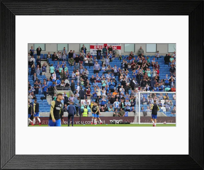 Framed Print : Brighton and Hove Albion vs. Watford: 2021-22 Premier League Battle at American Express Community Stadium Framed Print : Brighton and Hove Albion vs. Watford: 2021-22 Premier League Battle at American Express Community Stadium