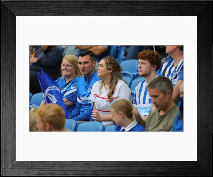 Framed Print : Brighton & Hove Albion vs. Watford: 2021-22 Premier League Showdown at American Express Community Stadium Framed Print : Brighton & Hove Albion vs. Watford: 2021-22 Premier League Showdown at American Express Community Stadium