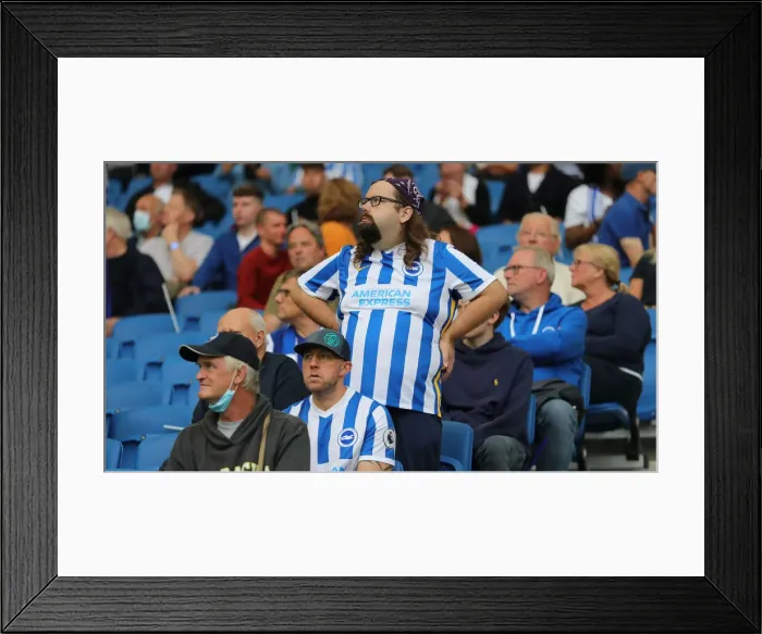 Framed Print : Brighton and Hove Albion vs. Watford: 2021-22 Premier League Battle at American Express Community Stadium
