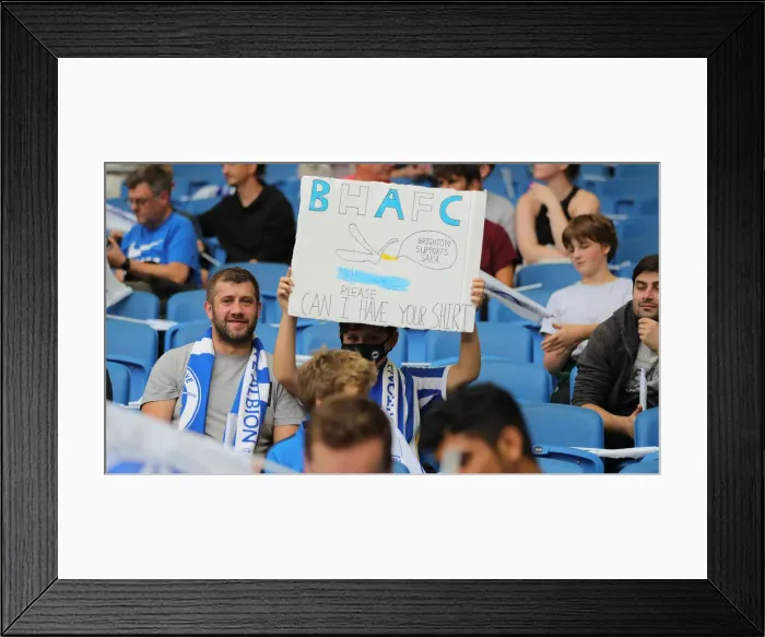 Framed Print : Brighton & Hove Albion vs. Watford: 2021-22 Premier League Battle at American Express Community Stadium Framed Print : Brighton & Hove Albion vs. Watford: 2021-22 Premier League Battle at American Express Community Stadium