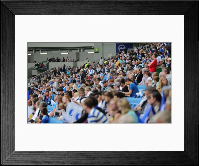 Framed Print : Brighton & Hove Albion vs. Watford: 2021-22 Premier League Showdown at American Express Community Stadium Framed Print : Brighton & Hove Albion vs. Watford: 2021-22 Premier League Showdown at American Express Community Stadium