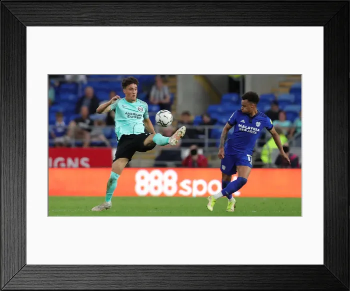 Framed Print : Intense Clash: Carabao Cup 2021 / 22 - Cardiff City vs Brighton and Hove Albion Framed Print : Intense Clash: Carabao Cup 2021 / 22 - Cardiff City vs Brighton and Hove Albion