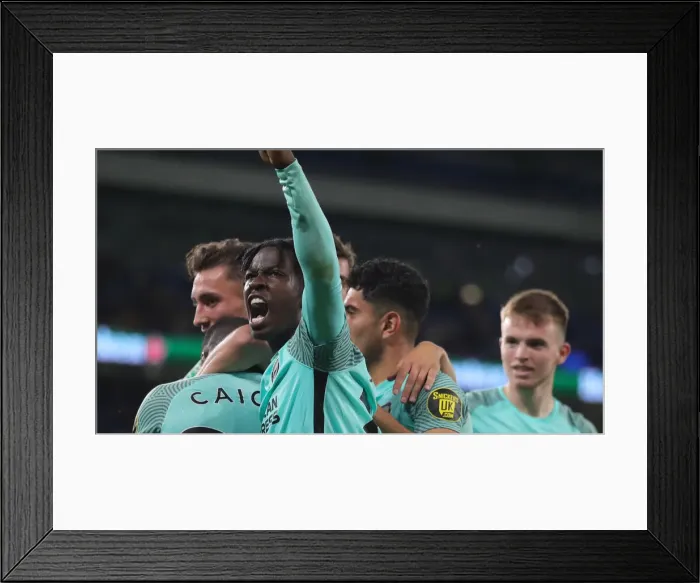 Framed Print : Intense Moment: Cardiff City vs. Brighton and Hove Albion in 2021-22 Carabao Cup Framed Print : Intense Moment: Cardiff City vs. Brighton and Hove Albion in 2021-22 Carabao Cup