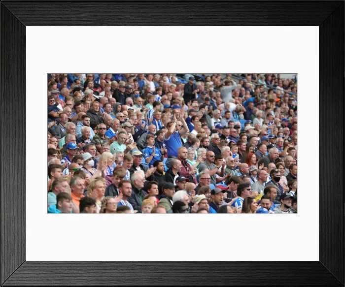 Framed Print : Brighton and Hove Albion v Everton Premier League 28AUG21