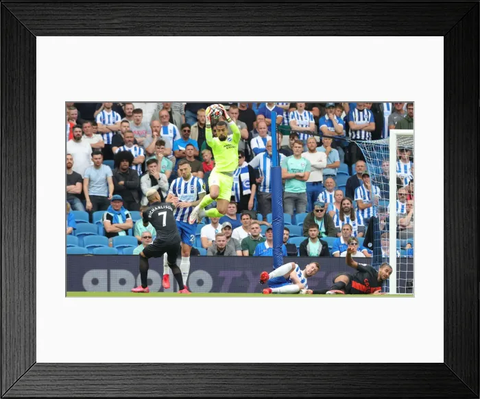 Framed Print : Brighton & Hove Albion vs. Everton: Premier League Clash at American Express Community Stadium (28.08.21) Framed Print : Brighton & Hove Albion vs. Everton: Premier League Clash at American Express Community Stadium (28.08.21)