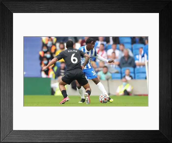 Framed Print : Premier League Showdown: Brighton vs Everton (28-Aug-21) - American Express Community Stadium