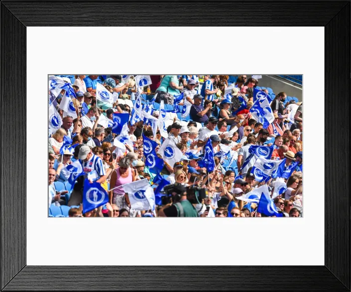 Framed Print : Brighton & Hove Albion Women vs. West Ham United Women: 2021 / 22 WSL Showdown at American Express Community Stadium