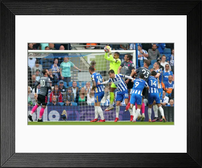 Framed Print : Brighton & Hove Albion vs. Leicester City: Premier League Clash at American Express Community Stadium (19SEP21) Framed Print : Brighton & Hove Albion vs. Leicester City: Premier League Clash at American Express Community Stadium (19SEP21)