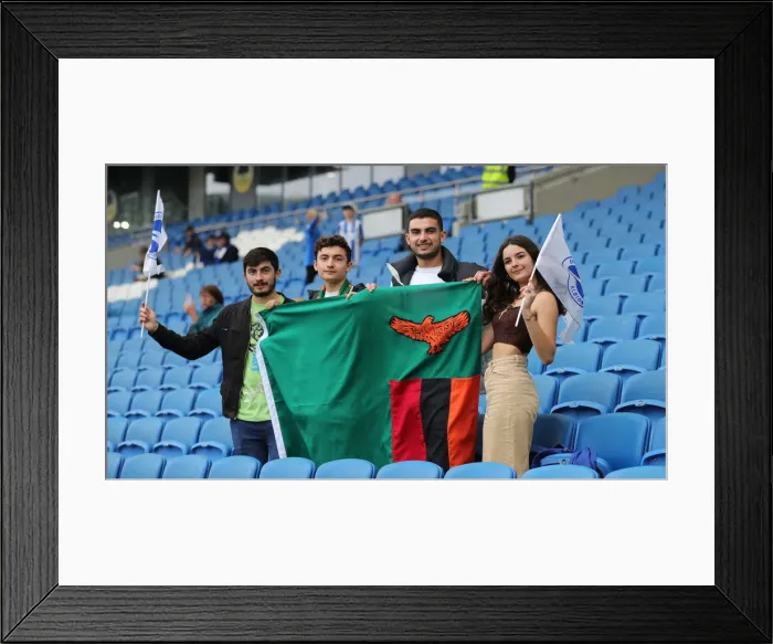 Framed Print : Premier League Showdown: Brighton & Hove Albion vs. Leicester City (19SEP21) Framed Print : Premier League Showdown: Brighton & Hove Albion vs. Leicester City (19SEP21)