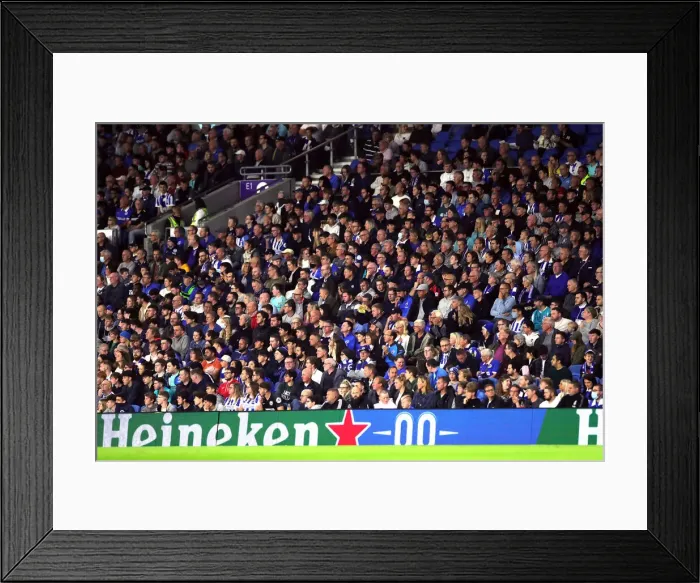 Framed Print : Brighton and Hove Albion vs Swansea City: Carabao Cup Clash at American Express Community Stadium (Sept 22, 2021) Framed Print : Brighton and Hove Albion vs Swansea City: Carabao Cup Clash at American Express Community Stadium (Sept 22, 2021)