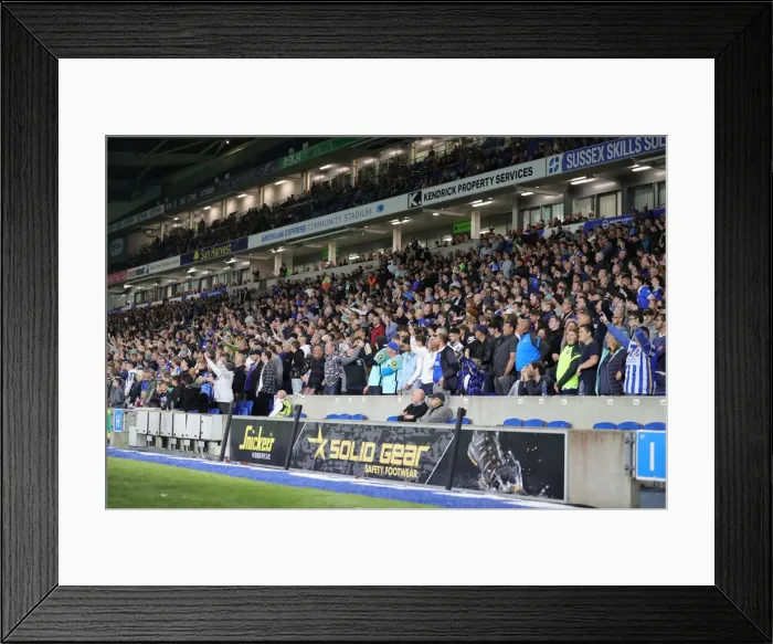 Framed Print : Brighton and Hove Albion vs Swansea City: Carabao Cup Clash at American Express Community Stadium (Sept 22, 2021) Framed Print : Brighton and Hove Albion vs Swansea City: Carabao Cup Clash at American Express Community Stadium (Sept 22, 2021)