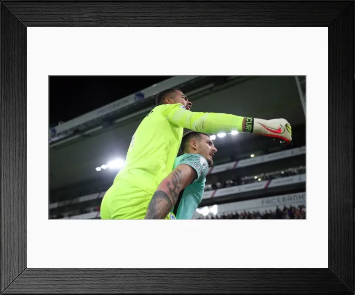 Framed Print : Palace gallery Framed Print : Palace gallery