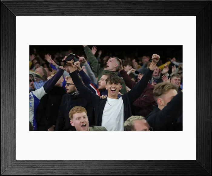 Framed Print : 27SEP21: Premier League Showdown - Crystal Palace vs. Brighton & Hove Albion at Selhurst Park Framed Print : 27SEP21: Premier League Showdown - Crystal Palace vs. Brighton & Hove Albion at Selhurst Park