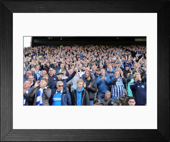 Framed Print : 02 Brighton fans Framed Print : 02 Brighton fans