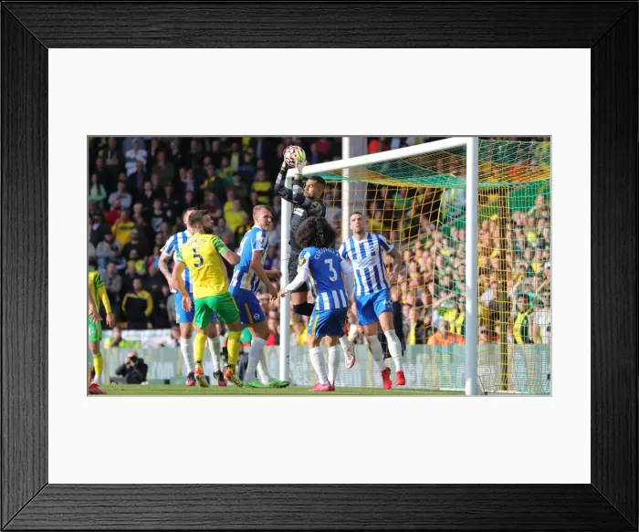 Framed Print : Premier League Clash: Norwich City vs. Brighton and Hove Albion at Carrow Road (16th October 2021) Framed Print : Premier League Clash: Norwich City vs. Brighton and Hove Albion at Carrow Road (16th October 2021)