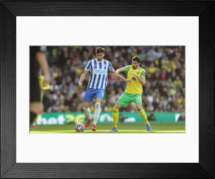 Framed Print : Premier League Clash: Norwich City vs. Brighton and Hove Albion at Carrow Road (16th October 2021) Framed Print : Premier League Clash: Norwich City vs. Brighton and Hove Albion at Carrow Road (16th October 2021)