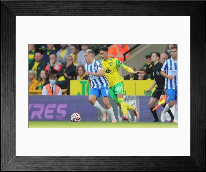 Framed Print : Premier League Clash: Norwich City vs. Brighton and Hove Albion at Carrow Road (16th October 2021) Framed Print : Premier League Clash: Norwich City vs. Brighton and Hove Albion at Carrow Road (16th October 2021)