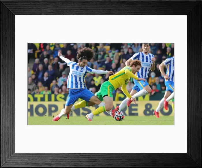 Framed Print : Premier League Clash: Norwich City vs. Brighton & Hove Albion at Carrow Road (16th October 2021) Framed Print : Premier League Clash: Norwich City vs. Brighton & Hove Albion at Carrow Road (16th October 2021)