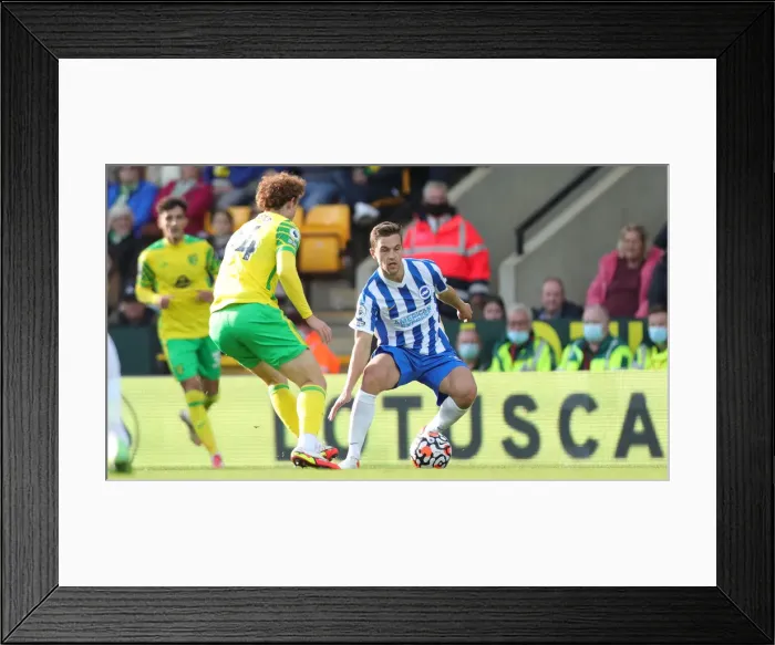 Framed Print : Premier League Clash: Norwich City vs. Brighton and Hove Albion at Carrow Road (16th October 2021) Framed Print : Premier League Clash: Norwich City vs. Brighton and Hove Albion at Carrow Road (16th October 2021)