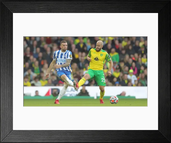 Framed Print : Premier League Clash: Norwich City vs. Brighton and Hove Albion at Carrow Road (16th October 2021) Framed Print : Premier League Clash: Norwich City vs. Brighton and Hove Albion at Carrow Road (16th October 2021)