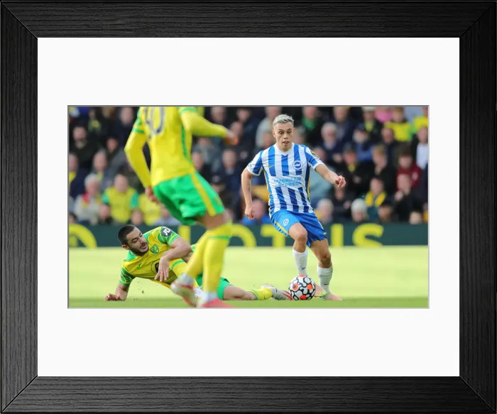 Framed Print : Intense Premier League Showdown: Norwich City vs. Brighton and Hove Albion (16th October 2021) Framed Print : Intense Premier League Showdown: Norwich City vs. Brighton and Hove Albion (16th October 2021)