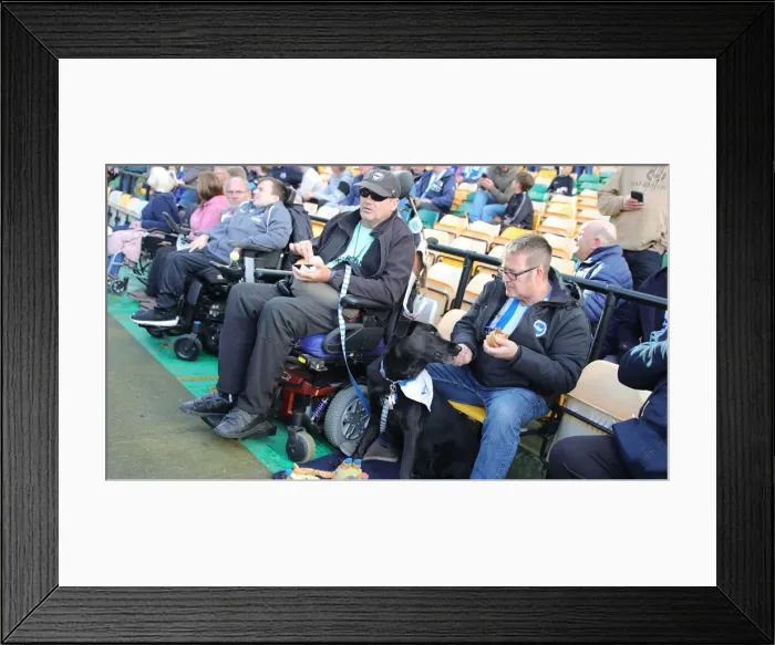 Framed Print : Premier League Clash: Norwich City vs. Brighton and Hove Albion at Carrow Road (16th October 2021) Framed Print : Premier League Clash: Norwich City vs. Brighton and Hove Albion at Carrow Road (16th October 2021)