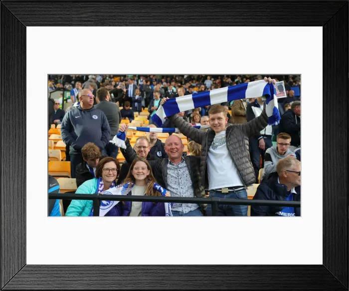 Framed Print : Premier League Clash: Norwich City vs. Brighton and Hove Albion at Carrow Road (16th October 2021) Framed Print : Premier League Clash: Norwich City vs. Brighton and Hove Albion at Carrow Road (16th October 2021)