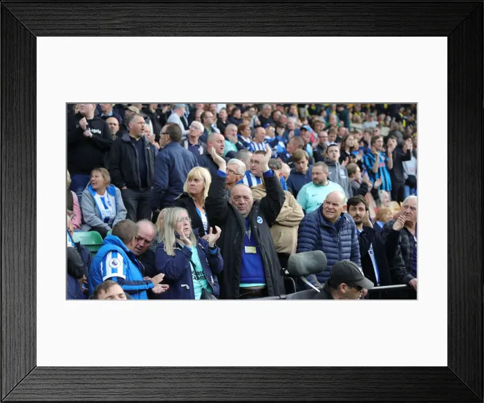 Framed Print : Premier League Clash: Norwich City vs. Brighton and Hove Albion at Carrow Road (16th October 2021) Framed Print : Premier League Clash: Norwich City vs. Brighton and Hove Albion at Carrow Road (16th October 2021)