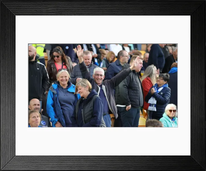 Framed Print : Premier League Clash: Norwich City vs. Brighton & Hove Albion at Carrow Road (16th October 2021) Framed Print : Premier League Clash: Norwich City vs. Brighton & Hove Albion at Carrow Road (16th October 2021)