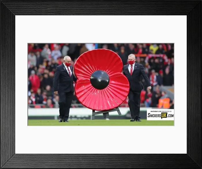 Framed Print : 01 Remembrance Day Framed Print : 01 Remembrance Day