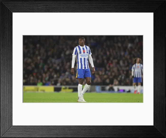 Framed Print : Brighton vs Newcastle: Premier League Clash at American Express Community Stadium (06NOV21) Framed Print : Brighton vs Newcastle: Premier League Clash at American Express Community Stadium (06NOV21)