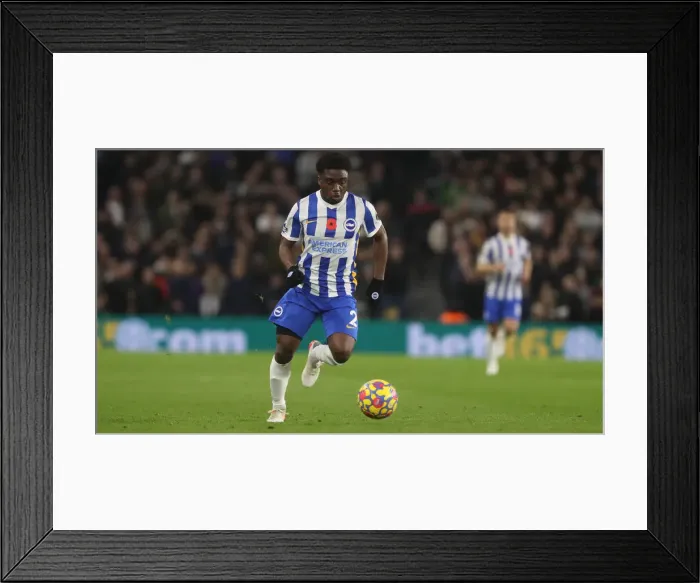 Framed Print : Premier League Showdown: Brighton & Hove Albion vs Newcastle United (November 6, 2021) Framed Print : Premier League Showdown: Brighton & Hove Albion vs Newcastle United (November 6, 2021)