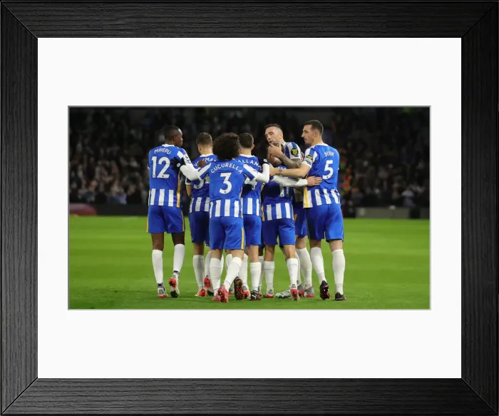 Framed Print : Premier League Showdown: Brighton and Hove Albion vs Newcastle United (November 6, 2021) Framed Print : Premier League Showdown: Brighton and Hove Albion vs Newcastle United (November 6, 2021)