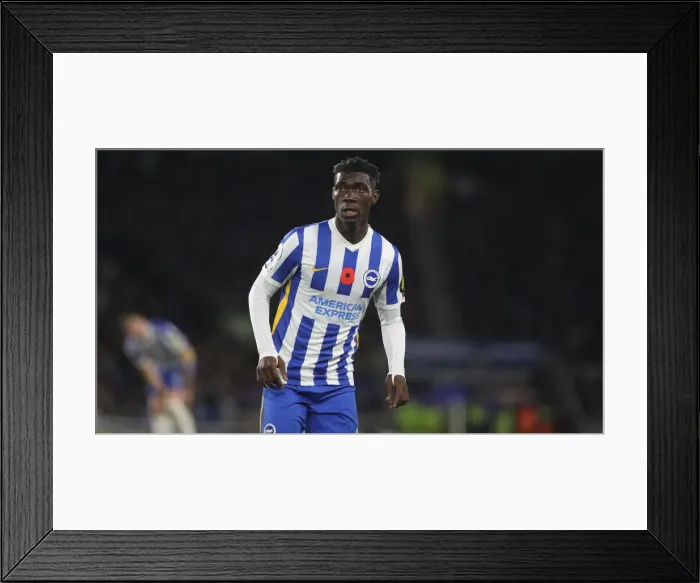 Framed Print : Intense Premier League Clash: Brighton & Hove Albion vs. Newcastle United (6th November 2021) Framed Print : Intense Premier League Clash: Brighton & Hove Albion vs. Newcastle United (6th November 2021)